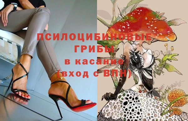 эйфоретик Волоколамск